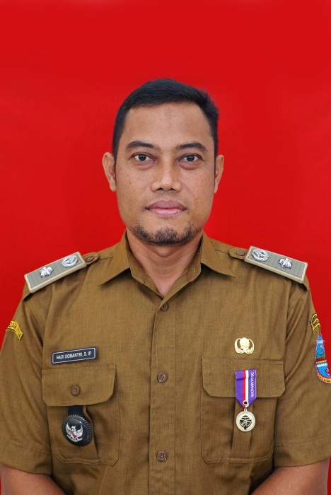 HADI SOMANTRI, S.IP