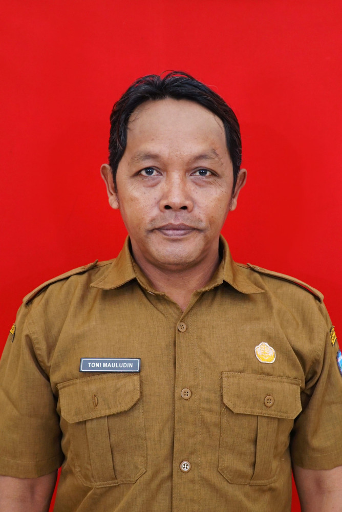 TONI MAULUDIN
